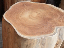 Stool - Teak Trunk